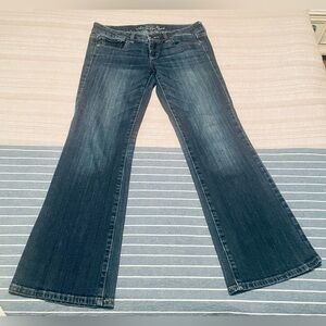 American Eagle Outfitters - AE - Low Rise - Favorite Boyfriend - Jeans - 8-10